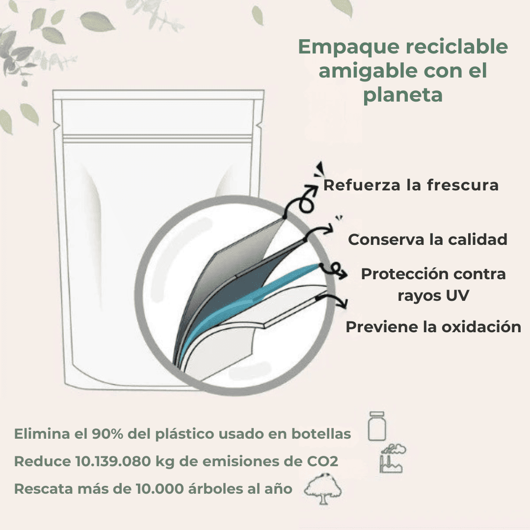 Encabezado