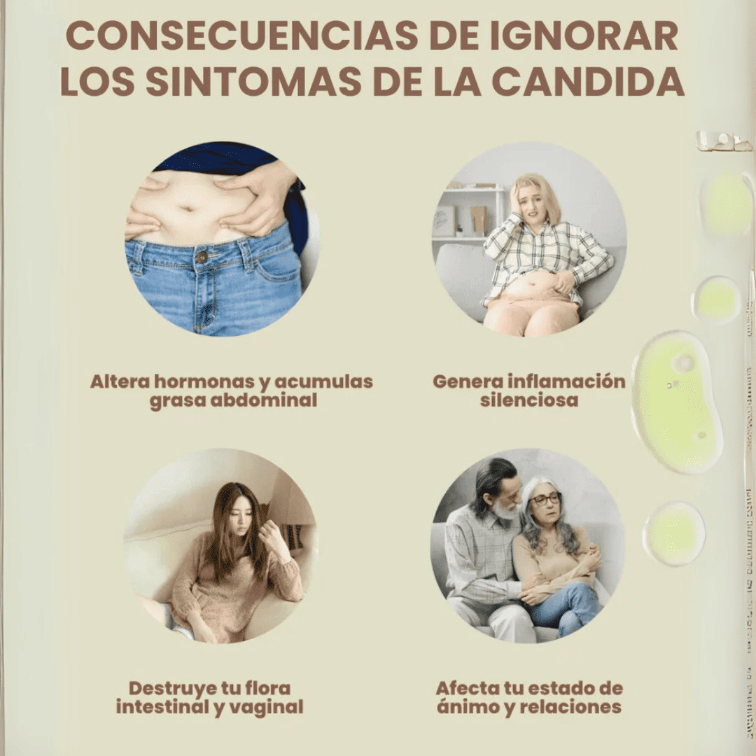Encabezado