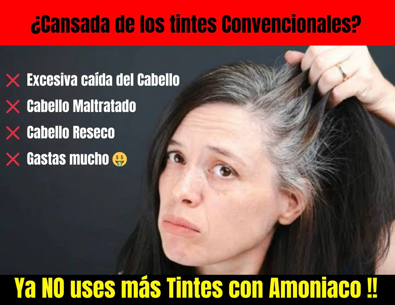 Encabezado
