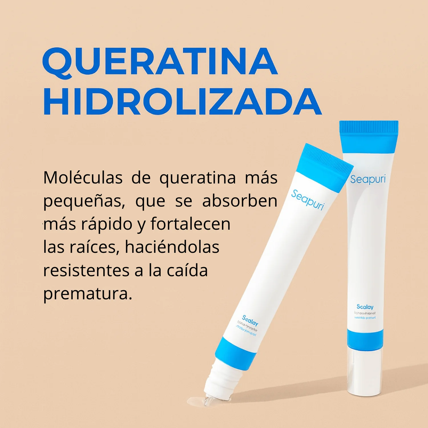 Encabezado