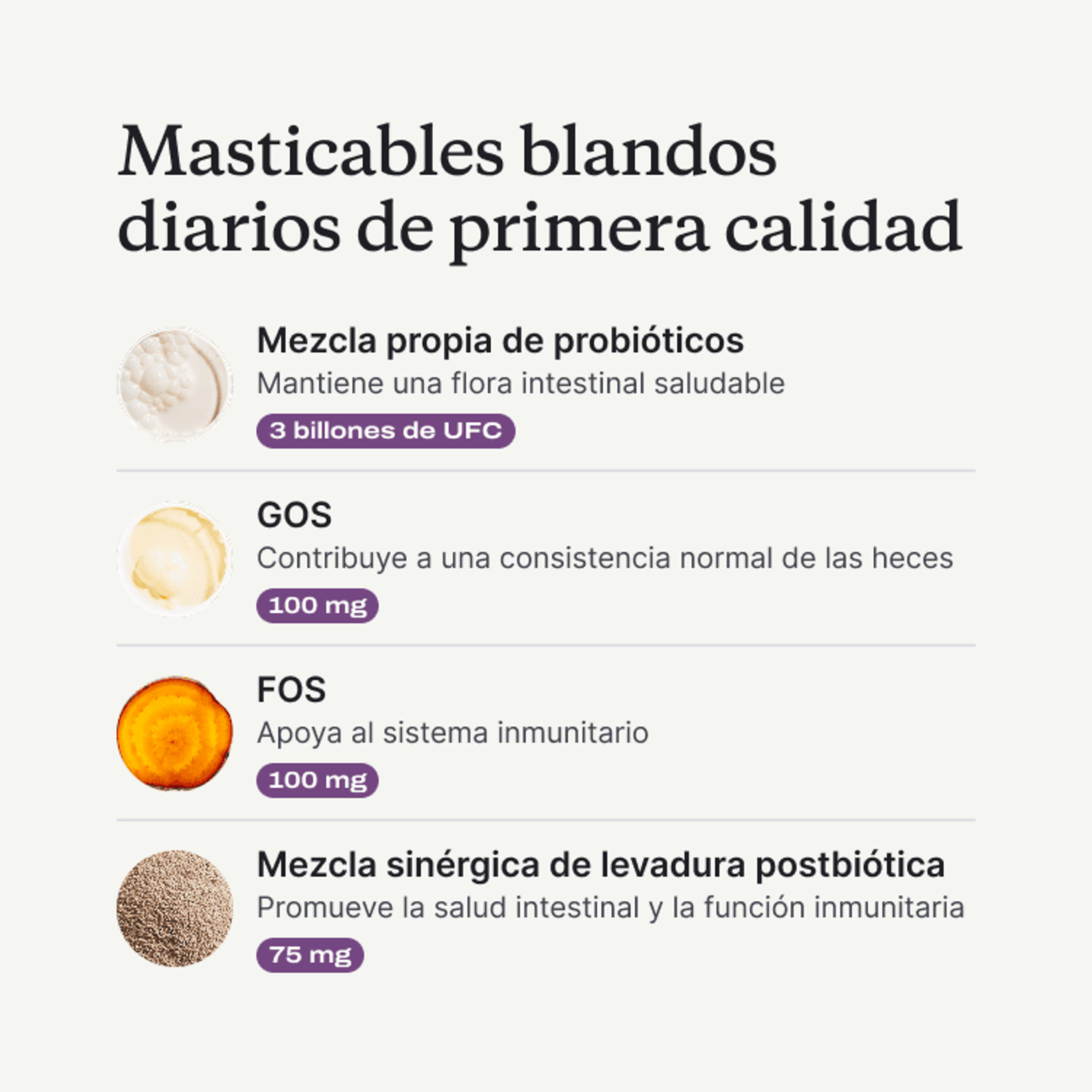 Encabezado