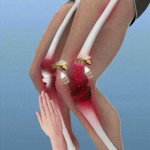 Encabezado